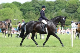 H36_8530 2026
