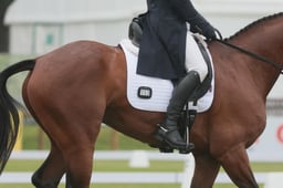 152 LUSKA CANDY CLOVER