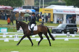 A37_0091 2026