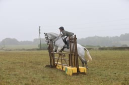 Gate Jumping