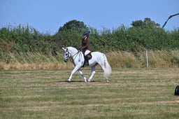 S60_0665 2026