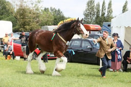 E36_1403 2026