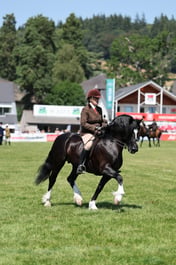 C68_2502 2026