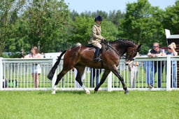 F34_1678 2026