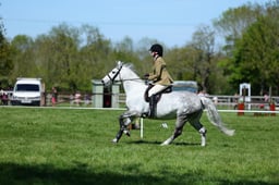M19_0598 2026