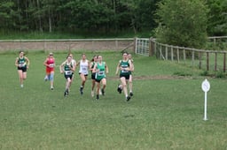 Heat 15