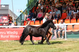 E68_4501 2026