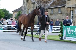 A37_9753 2026