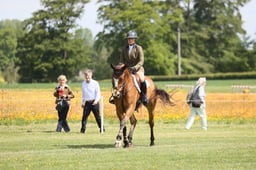 51 TEMERAIRE