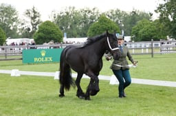 W29_0846 2026