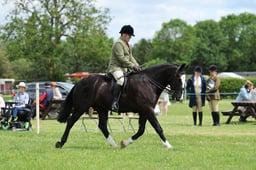 H36_8048 2026