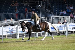 A47_1278 2026