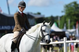 576 HOYS Ridden Connemara