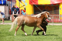 E34_1626 2026