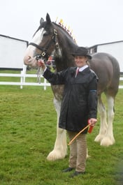 Clydesdale Championship