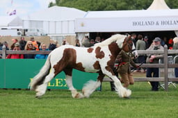 S28_8640 2026