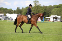W36_2484 2026
