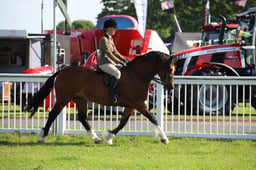 W33_0665 2026