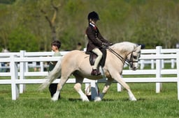 H19_0579 2026