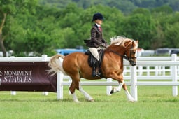 H41_1332 2026