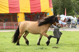 E34_3053 2026