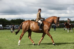 E36_0712 2026