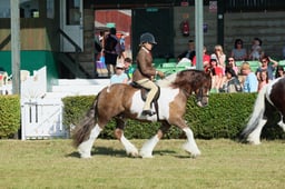 S61_0403 2026