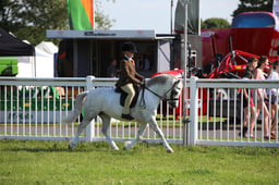 W33_0638 2026