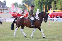Z68_1105 2026