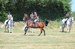 S60_0646 2026