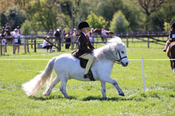 C19_2367 2026