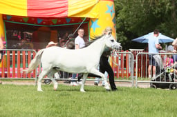E34_1425 2026