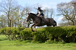 C14_1890 2026