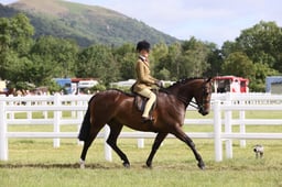 E42_0246 2026