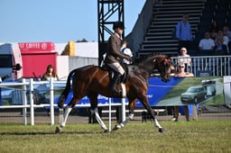A47_0657 2026