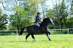 M19_0833 2026