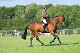 H36_9310 2026