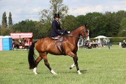 E36_2297 2026