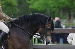 S30_3688 2026