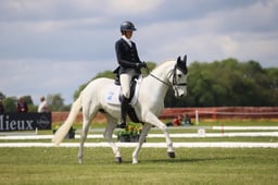 343 KILSHREWLEY LADY