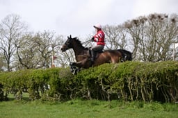 C14_1392 2026