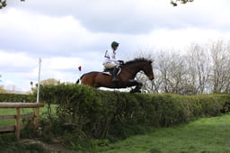 30 Gloucestershire Equine Vets