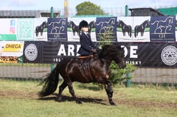 E46_0396 2026