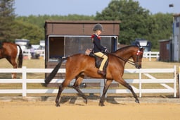 E65_0073 2026