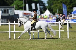 H47_0523 2026