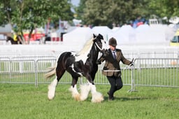 C34_0407 2026