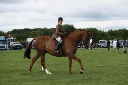 E36_0740 2026