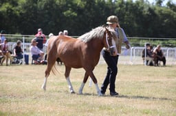 H60_0406 2026