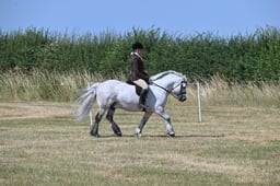 S60_0560 2026