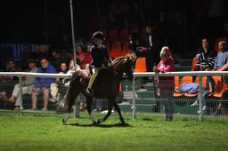 11 JNR SP & SHP Open Ridden